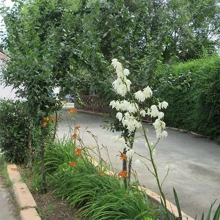 Laguna Bungalows Nord Alpesi faház *