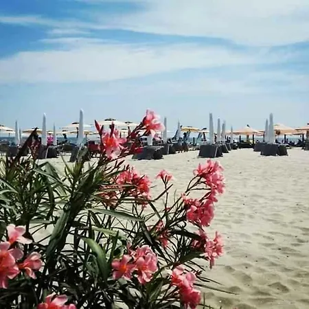 Laguna Bungalows Nord * Mamaia