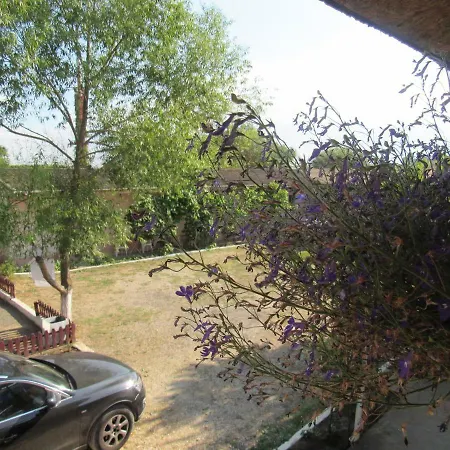 Alpesi faház Laguna Bungalows Nord